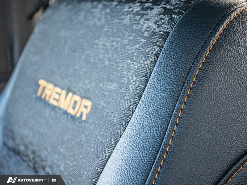 NEW 2026 Ford F-150 Tremor - Carbonized Grey Metallic Exterior / BLACK SPORT CLOTH Interior - $74,662 - Stock #D60880 - VIN 1FTFW4L82TFC34286 - Photo 25