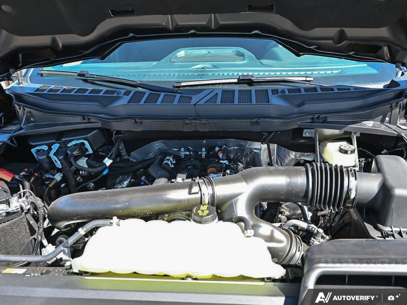 NEW 2026 Ford F-150 XLT - Antimatter Blue Metallic Exterior / BLACK SPORT Interior - $67,879 - Stock #E60981 - VIN 1FTFW3L80TFB70467 - Photo 8