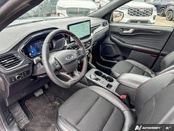 2025 Ford Escape ST-Line Hybrid