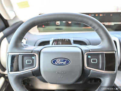 2025 Ford Expedition Active 1