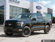 2025 Ford F-150 Platinum 1