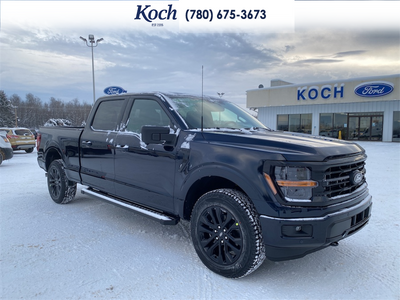 2025 Ford F-150 XLT 1