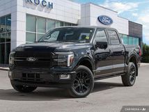 2025 Ford F-150 Platinum 1