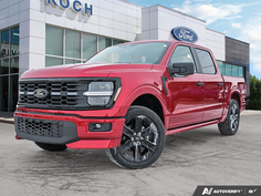 2025 Ford F-150 STX LOBO 1