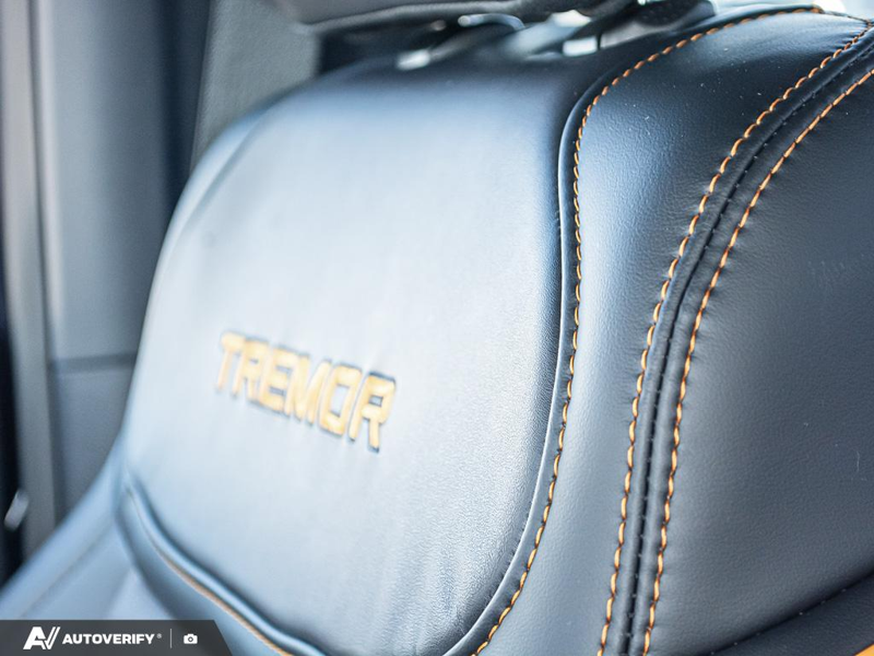 NEW 2025 Ford F-150 Tremor - Antimatter Blue Metallic Exterior / BLACK TREMOR LEATHER Interior - $92,201 - Stock #D51014 - VIN 1FTFW4L52SFC33028 - Photo 24
