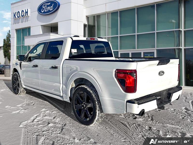 2025 Ford F-150 STX photo 4