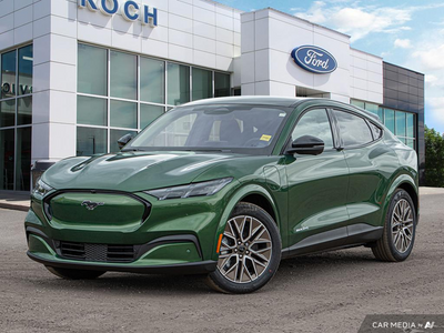 2025 Ford Mustang Mach-E Premium AWD 1