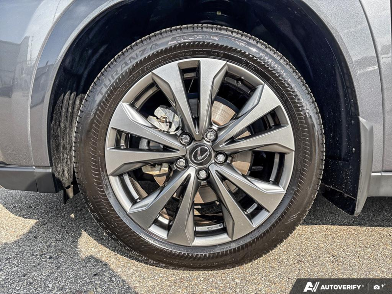 USED 2025 Lexus UX 300h - Grey Exterior - $45,942 - Stock #E50824B - VIN JTHUCJDH7S2009797 - Photo 6