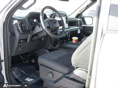 NEW 2026 Ford F-150 STX - BLACK SPORT CLOTH Interior - $58,999 - Stock #D60263 - VIN 1FTEW2LP0TKD32019