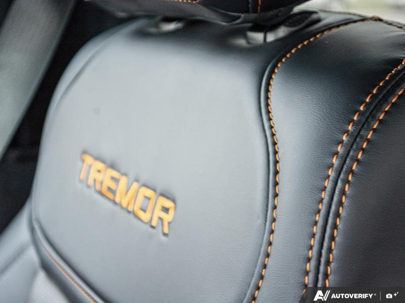 NEW 2026 Ford F-150 Tremor - Agate Black Exterior / BLACK TREMOR LEATHER Interior - $96,719 - Stock #E60665 - VIN 1FTFW4L51TFB03453 - Photo 24