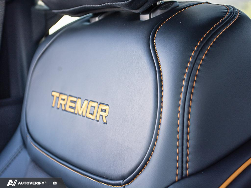 NEW 2026 Ford F-150 Tremor - Carbonized Grey Metallic Exterior / BLACK TREMOR LEATHER Interior - $92,032 - Stock #D60616 - VIN 1FTFW4L58TFB21982 - Photo 24