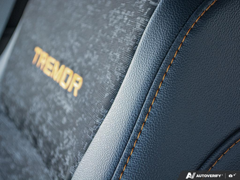 NEW 2026 Ford F-150 Tremor - Avalanche Exterior / BLACK SPORT CLOTH Interior - $78,874 - Stock #E60502 - VIN 1FTFW4L81TFA63515 - Photo 25