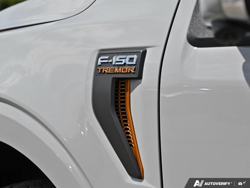 NEW 2026 Ford F-150 Tremor - Avalanche Exterior / BLACK TREMOR LEATHER Interior - $96,194 - Stock #E60846 - VIN 1FTFW4L82TFB48170 - Photo 26