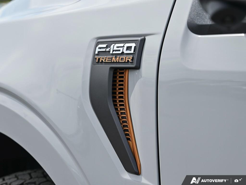 NEW 2026 Ford F-150 Tremor - Avalanche Exterior / BLACK SPORT CLOTH Interior - $70,774 - Stock #E60942 - VIN 1FTFW4L81TFB69270 - Photo 27