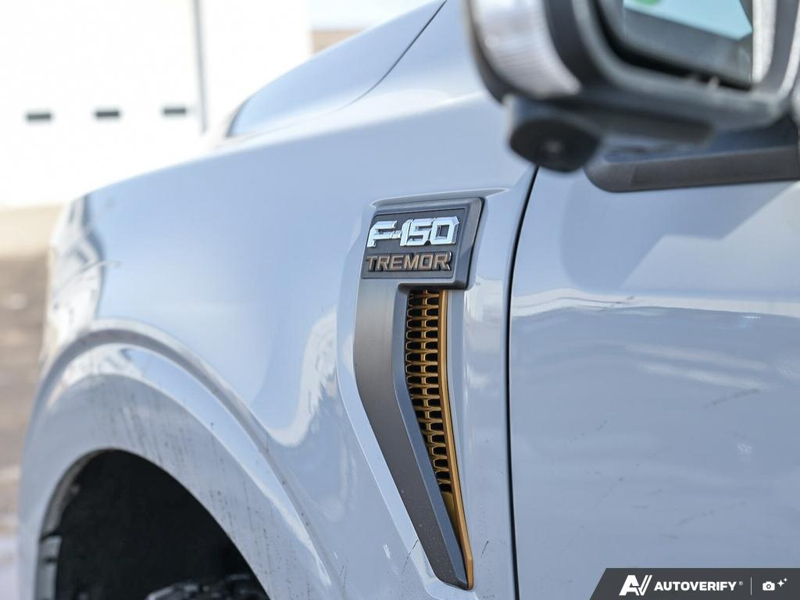 NEW 2026 Ford F-150 Tremor - Avalanche Exterior / BLACK SPORT CLOTH Interior - $78,714 - Stock #E60444 - VIN 1FTFW4L80TFA41635 - Photo 27