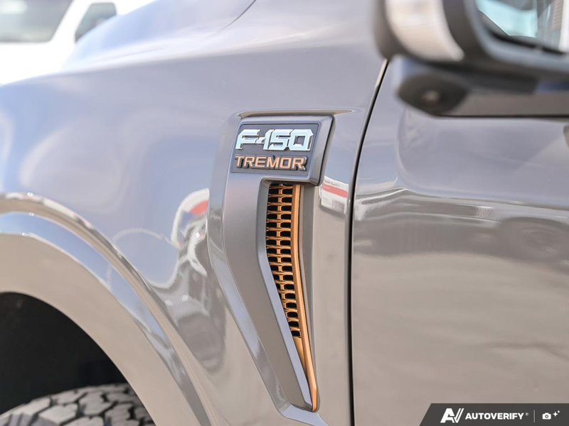 NEW 2026 Ford F-150 Tremor - Marsh Gray Exterior / BLACK SPORT CLOTH Interior - $81,599 - Stock #E60591 - VIN 1FTFW4L50TFA81512 - Photo 27