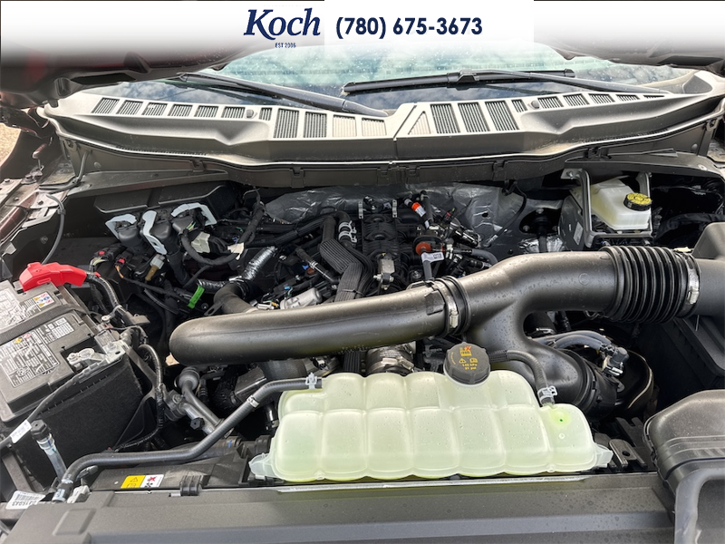NEW 2026 Ford F-150 XLT - Ruby Red Metallic Tinted Clearcoat Exterior - $76,605 - Stock #A26100 - VIN 1FTFW3L84TKD52776 - Photo 33