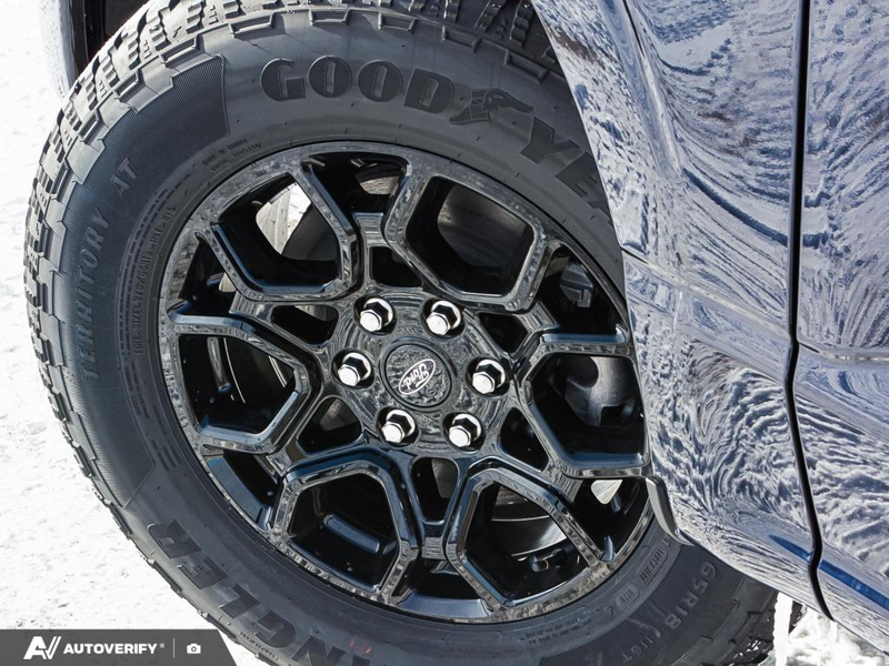 NEW 2026 Ford F-150 XLT - Antimatter Blue Metallic Exterior / BLACK SPORT Interior - $72,786 - Stock #D60350 - VIN 1FTFW3L81TFA31027 - Photo 6