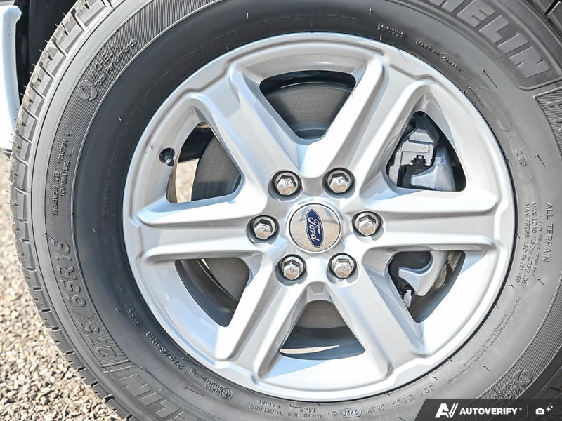 NEW 2026 Ford F-150 XLT - Oxford White Exterior / MEDIUM DARK SLATE Interior - $66,611 - Stock #E60910 - VIN 1FTFW3L80TKE63521 - Photo 6
