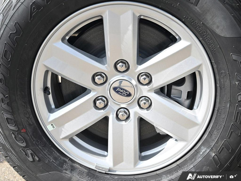 NEW 2026 Ford F-150 XL - Oxford White Exterior / MEDIUM DARK SLATE CLOTH Interior - $67,244 - Stock #E61003 - VIN 1FTFW1L82TKE73990 - Photo 6