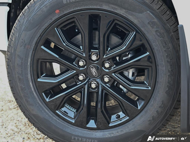 NEW 2026 Ford F-150 XLT - Oxford White Exterior / BLACK SPORT Interior - $71,967 - Stock #E60965 - VIN 1FTFW3L82TKE73242 - Photo 6