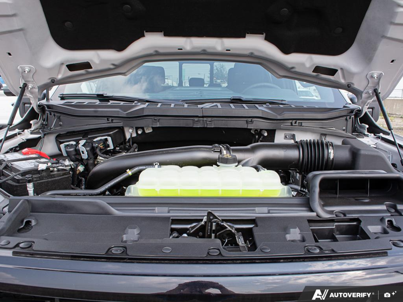 NEW 2026 Ford F-150 XLT - Avalanche Exterior / BLACK SPORT Interior - $71,967 - Stock #E60882 - VIN 1FTFW3L82TFB53315 - Photo 8