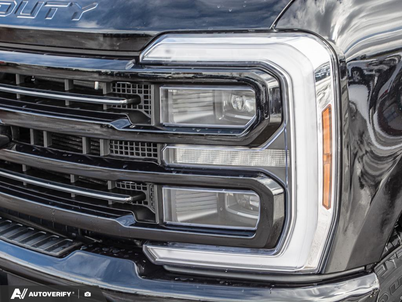 NEW 2026 Ford F-350 Super Duty Platinum - Agate Black Exterior / BLACK ONYX/BLUE LEATHER Interior - $115,261 - Stock #D60311 - VIN 1FT8W3BT6TED85081 - Photo 10