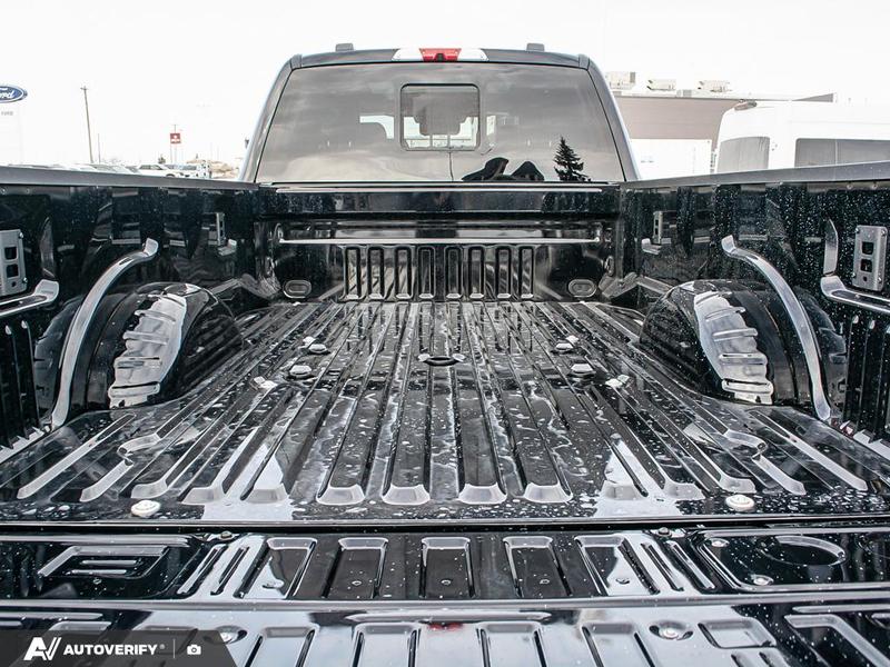 NEW 2026 Ford F-450 Super Duty Platinum - Agate Black Exterior / BLACK ONYX/BLUE LEATHER Interior - $135,188 - Stock #D60232 - VIN 1FT8W4DM9TED93929 - Photo 11