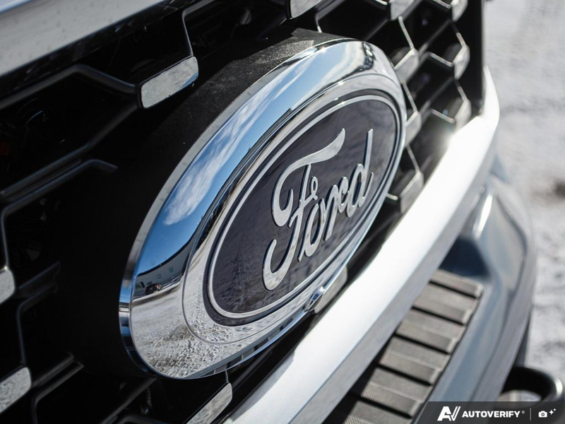 NEW 2026 Ford F-450 Super Duty Platinum - Glacier Gray Exterior / BLACK ONYX/BLUE LEATHER Interior - $136,288 - Stock #E60276 - VIN 1FT8W4DM7TED94268 - Photo 9