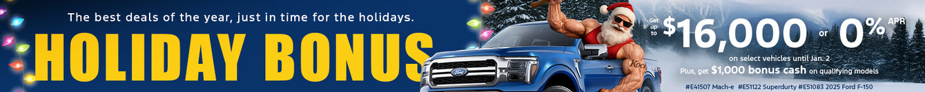 Koch Ford Lincoln Banner